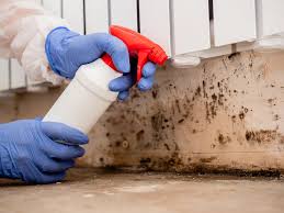 Best Environmental Consulting for Mold Prevention  in Lakeland South, WA